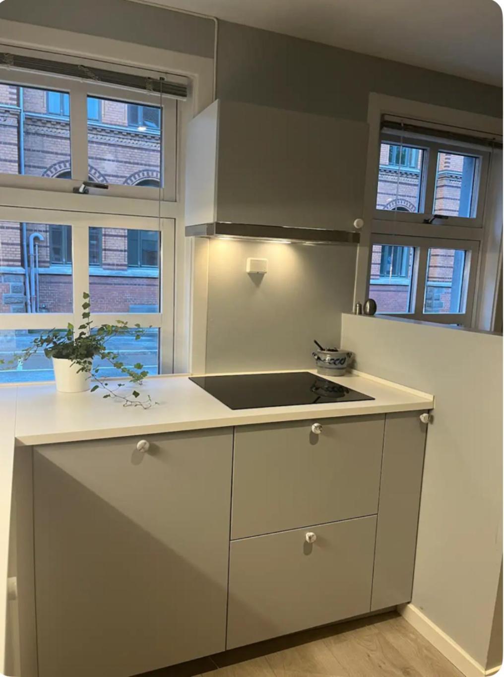 Unik Og Koselig Leilighet Midt I Sentrum Av 特隆赫姆 外观 照片